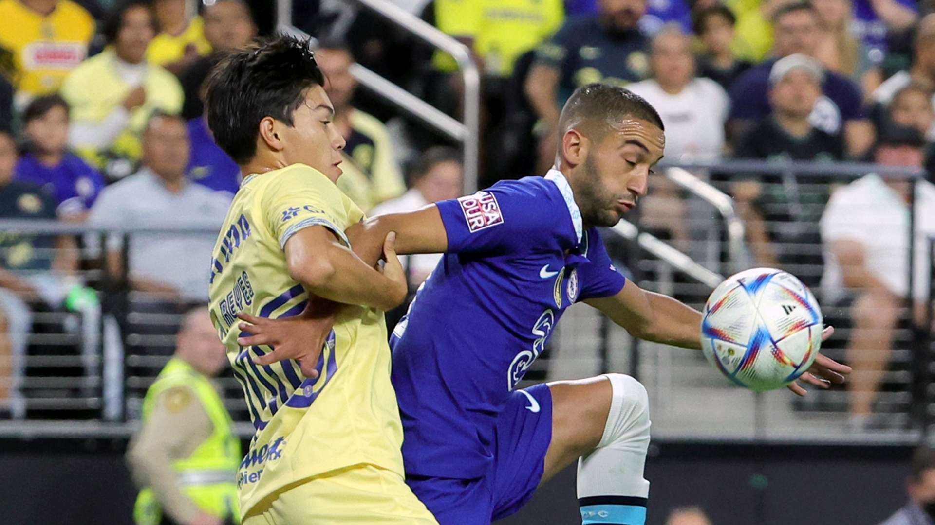 他们能够在 他们能够在