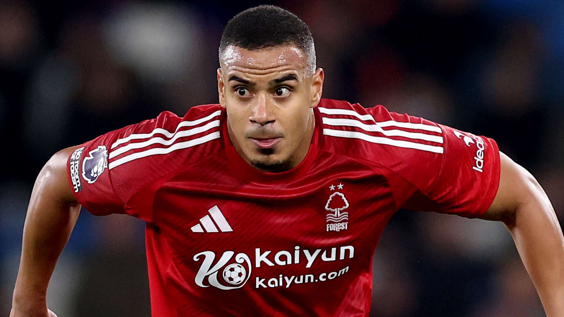 公开表示 公开表示